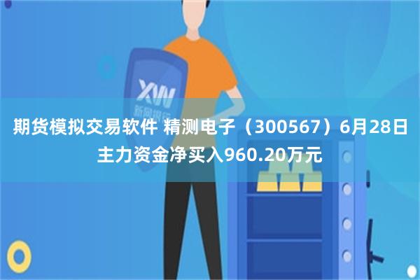 期货模拟交易软件 精测电子（300567）6月28日主力资金净买入960.20万元