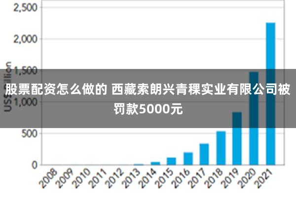 股票配资怎么做的 西藏索朗兴青稞实业有限公司被罚款5000元