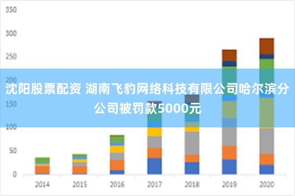 沈阳股票配资 湖南飞豹网络科技有限公司哈尔滨分公司被罚款5000元