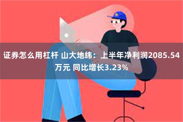 证券怎么用杠杆 山大地纬：上半年净利润2085.54万元 同比增长3.23%