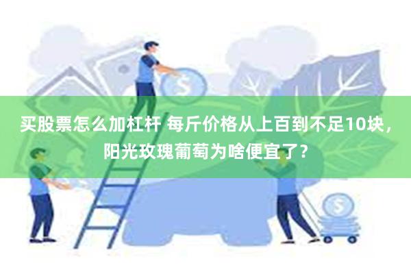 买股票怎么加杠杆 每斤价格从上百到不足10块，阳光玫瑰葡萄为啥便宜了？