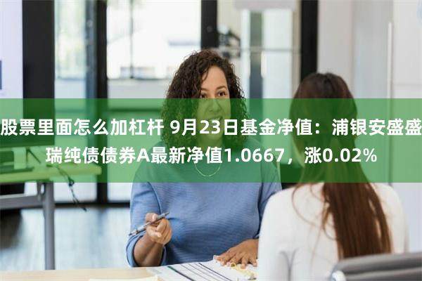 股票里面怎么加杠杆 9月23日基金净值：浦银安盛盛瑞纯债债券A最新净值1.0667，涨0.02%