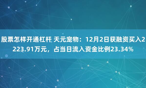 股票怎样开通杠杆 天元宠物：12月2日获融资买入2223.91万元，占当日流入资金比例23.34%