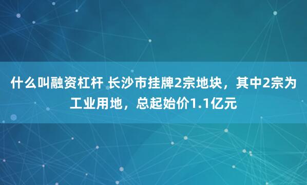 什么叫融资杠杆 长沙市挂牌2宗地块，其中2宗为工业用地，总起始价1.1亿元