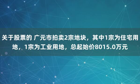 关于股票的 广元市拍卖2宗地块，其中1宗为住宅用地，1宗为工业用地，总起始价8015.0万元