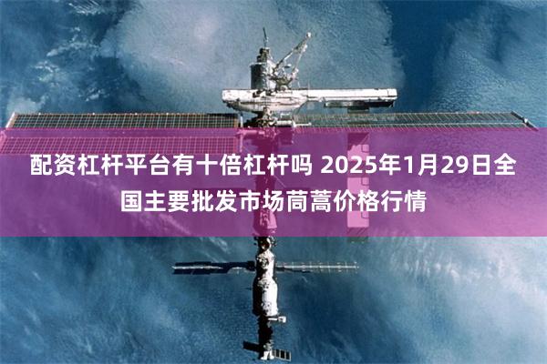 配资杠杆平台有十倍杠杆吗 2025年1月29日全国主要批发市场茼蒿价格行情