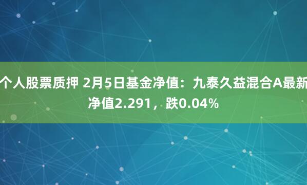 个人股票质押 2月5日基金净值：九泰久益混合A最新净值2.291，跌0.04%