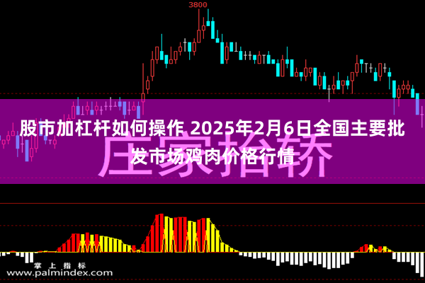 股市加杠杆如何操作 2025年2月6日全国主要批发市场鸡肉价格行情