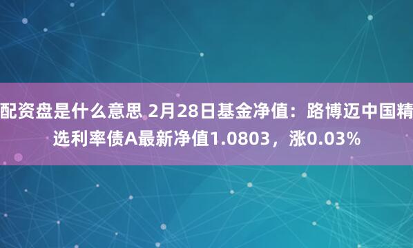 配资盘是什么意思 2月28日基金净值：路博迈中国精选利率债A最新净值1.0803，涨0.03%