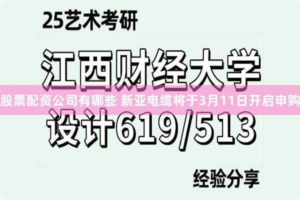 股票配资公司有哪些 新亚电缆将于3月11日开启申购