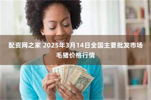 配资网之家 2025年3月14日全国主要批发市场毛猪价格行情